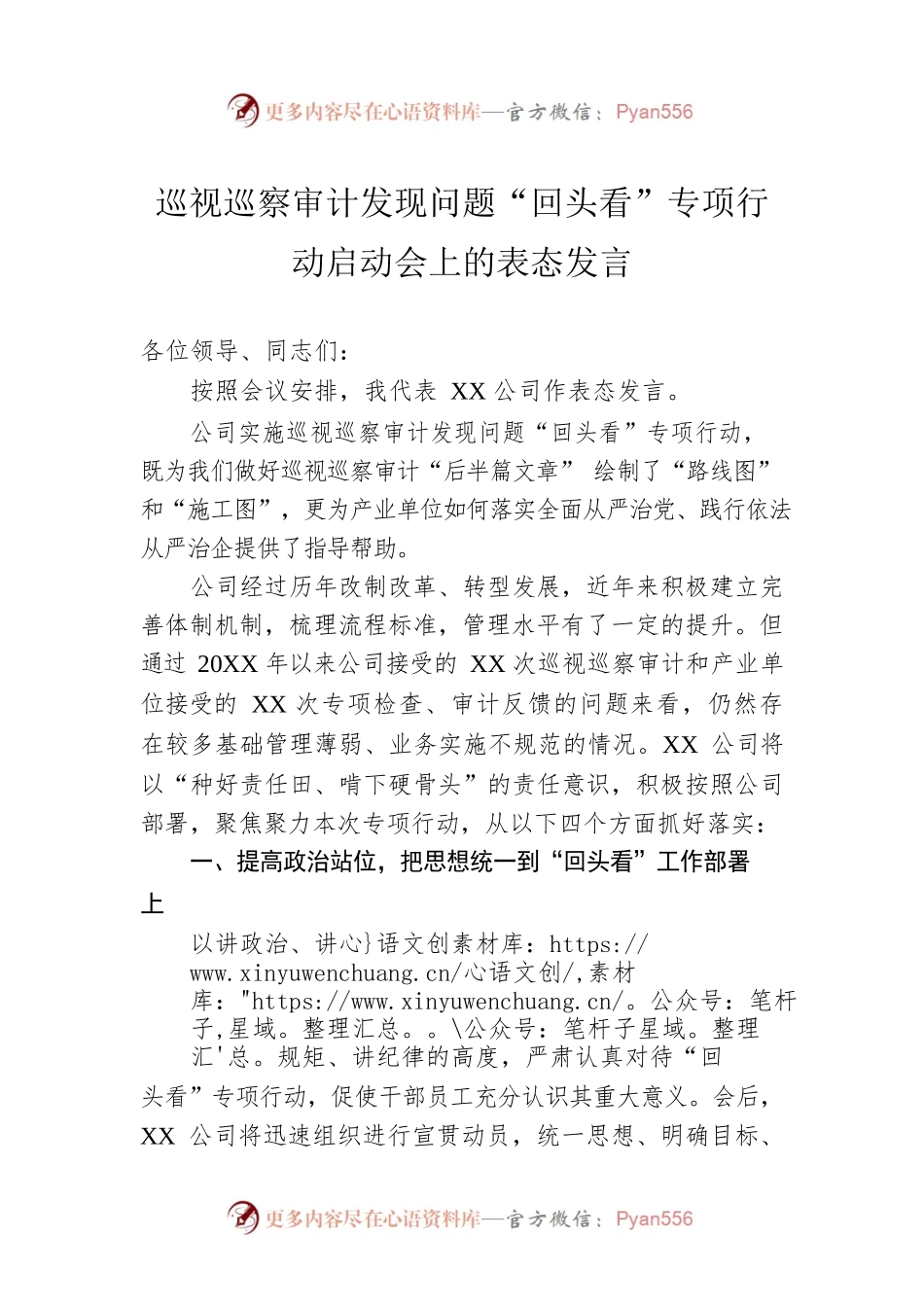 巡视巡察审计发现问题回头看专项行动启动会上的表态发言.docx_第1页