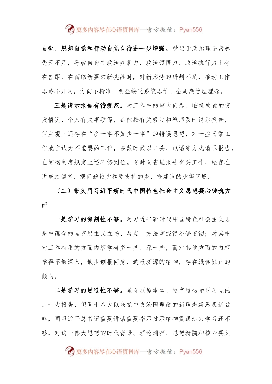 局长2023年民主生活会“六个带头”个人对照检查发言材料范文.docx_第2页