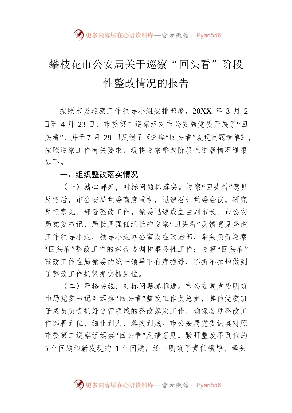 攀枝花市公安局关于巡察“回头看”阶段性整改情况的报告.docx_第1页