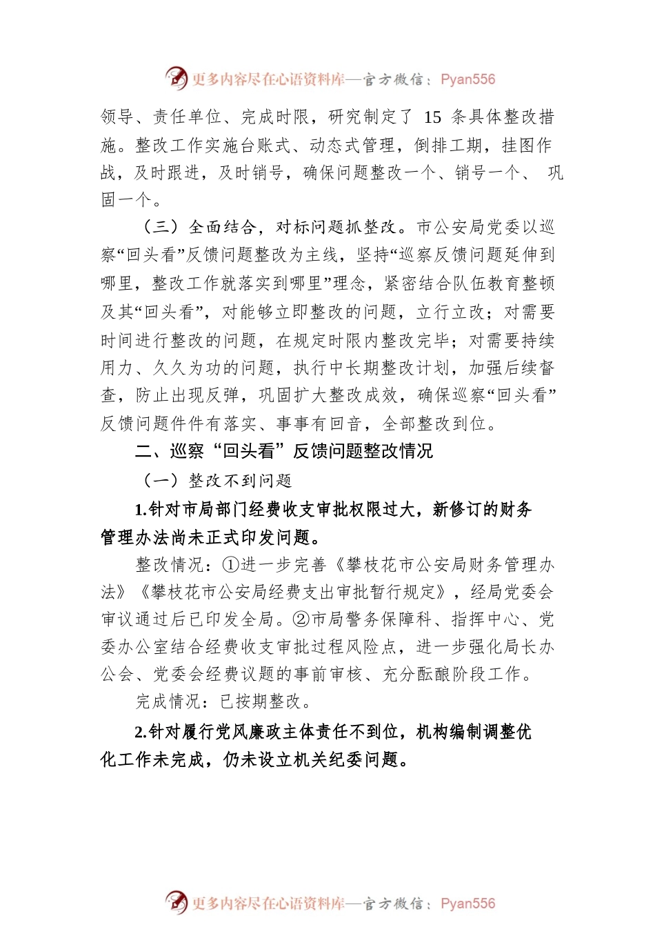 攀枝花市公安局关于巡察“回头看”阶段性整改情况的报告.docx_第2页