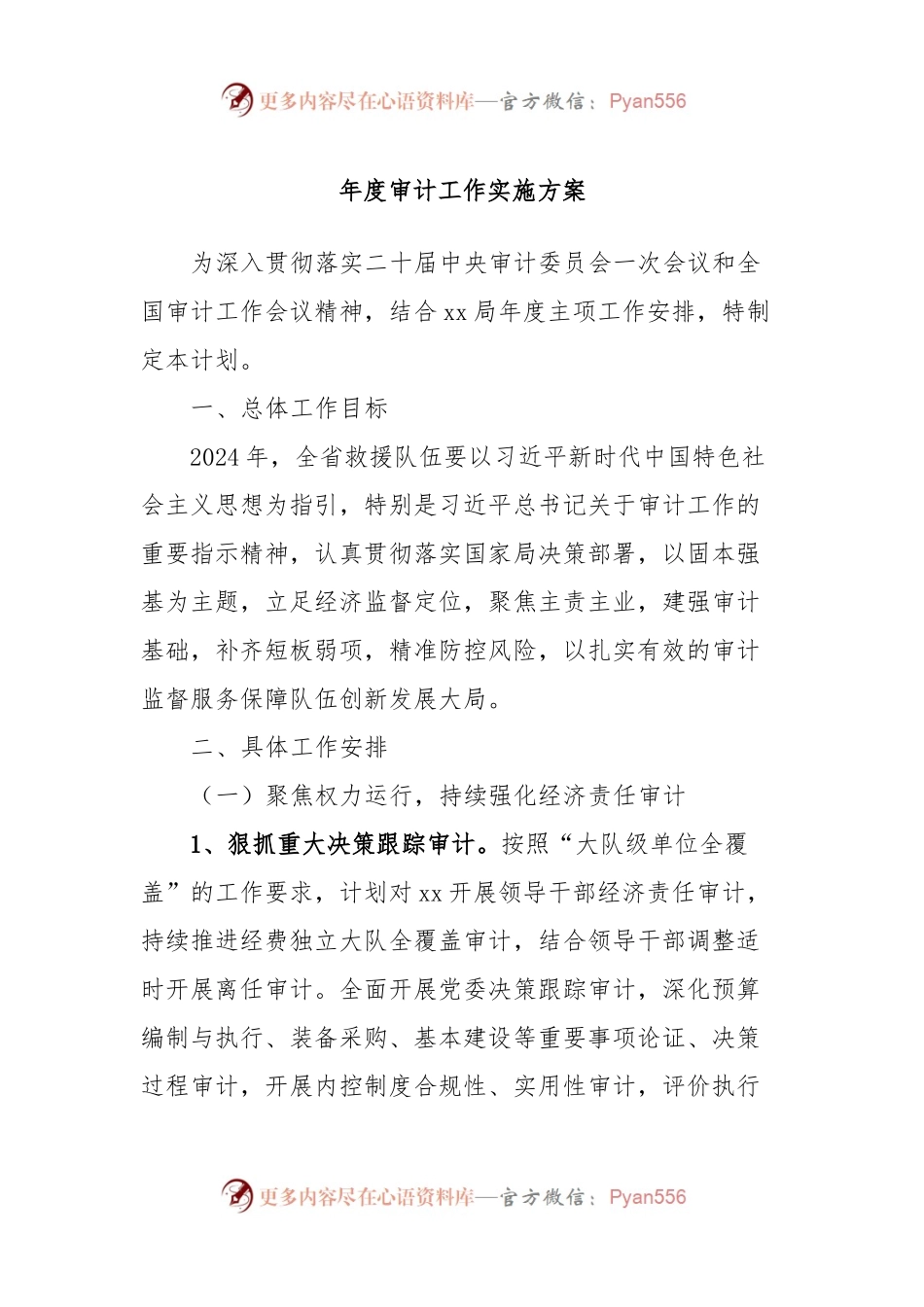 年度审计工作实施方案.docx_第1页