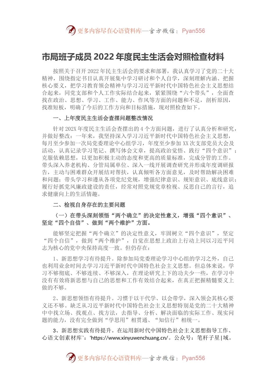 市局班子成员2022年度民主生活会对照检查材料.docx_第1页