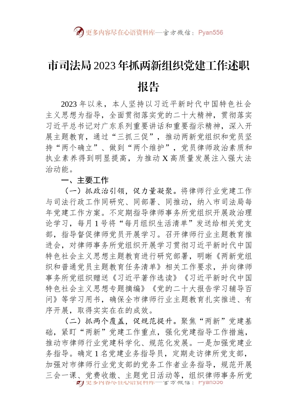 市司法局2023年抓两新组织党建工作述职报告.docx_第1页