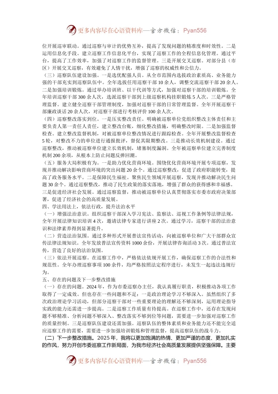 市委巡察办主任2024年述职述廉报告.docx_第2页