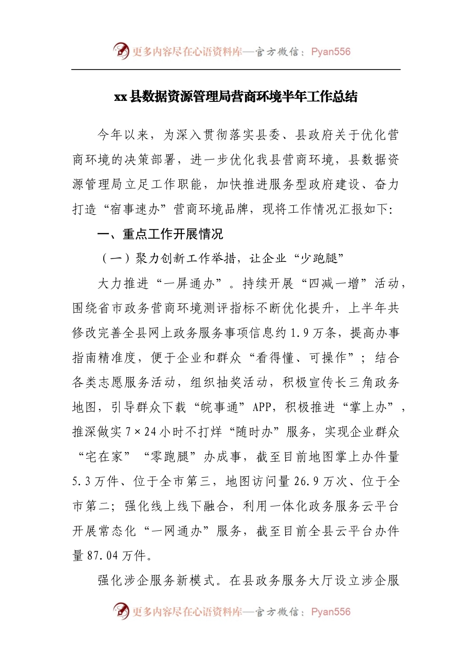 数据资源管理局营商环境半年工作总结.docx_第1页