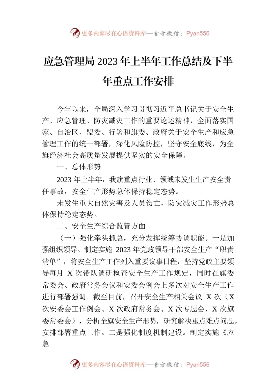 应急管理局2023年上半年工作总结及下半年重点工作安排.docx_第1页