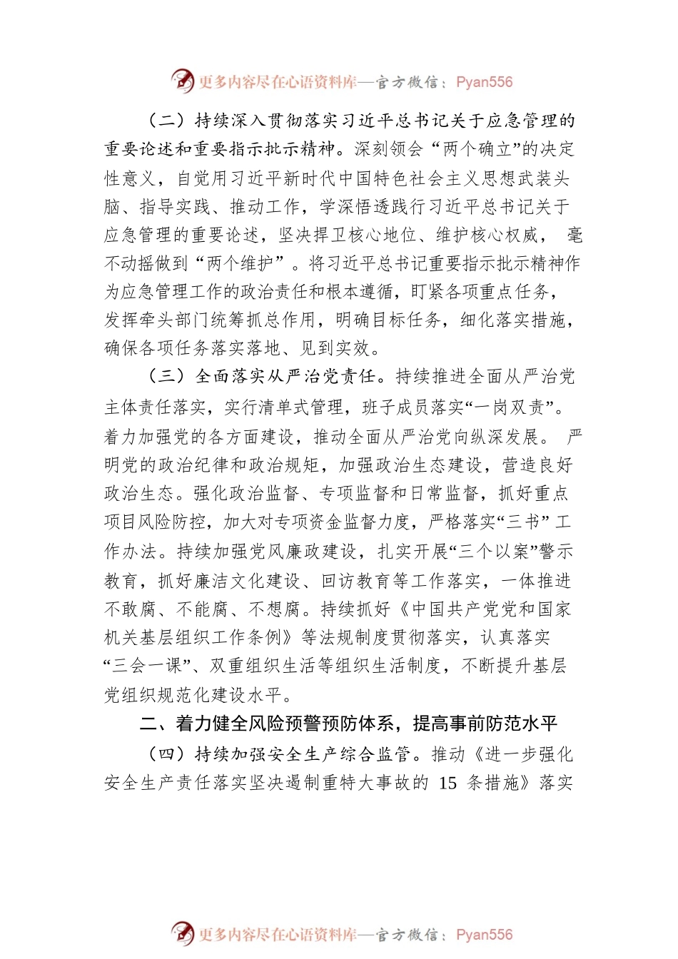 市应急管理局2023年工作要点.docx_第2页