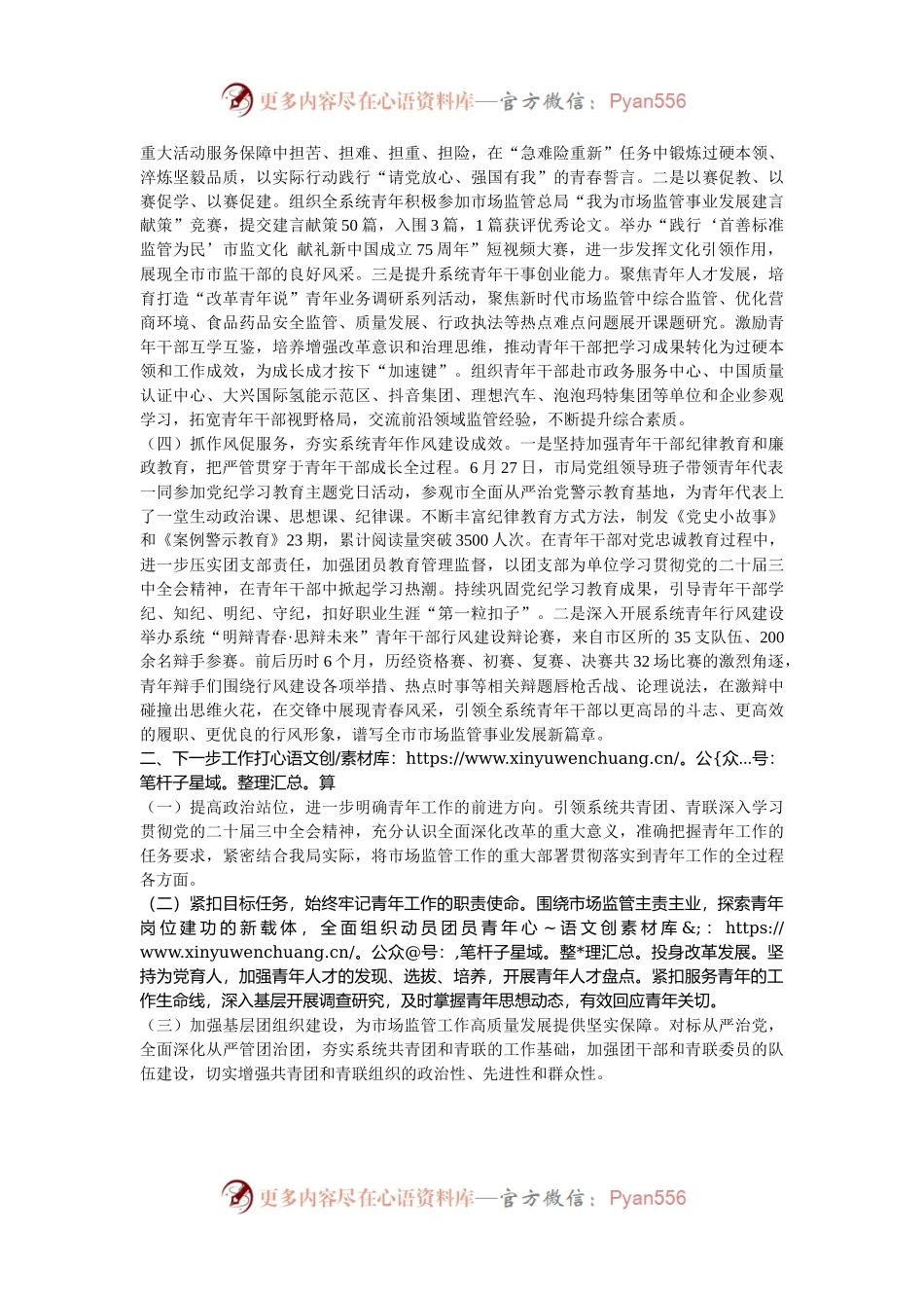 市场监管局党组2024年青年工作总结.docx_第2页