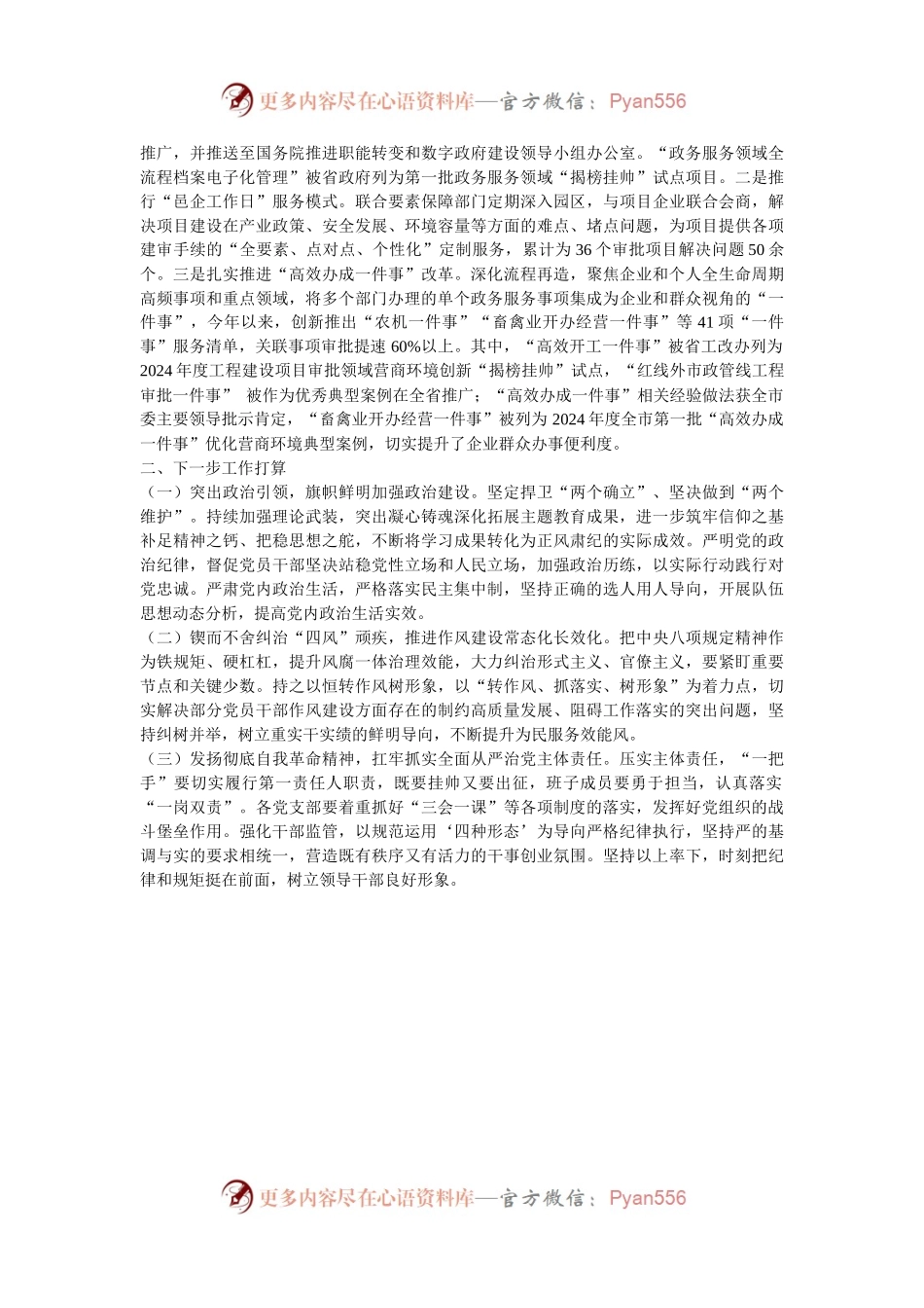 市行政审批局党组书记2024年抓基层党建述职报告.docx_第2页