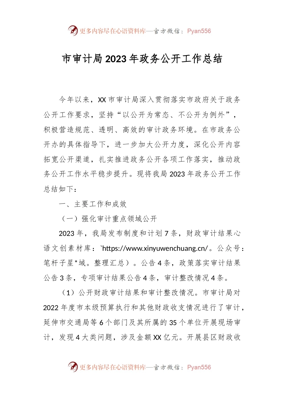 市审计局2023年政务公开工作总结.docx_第1页