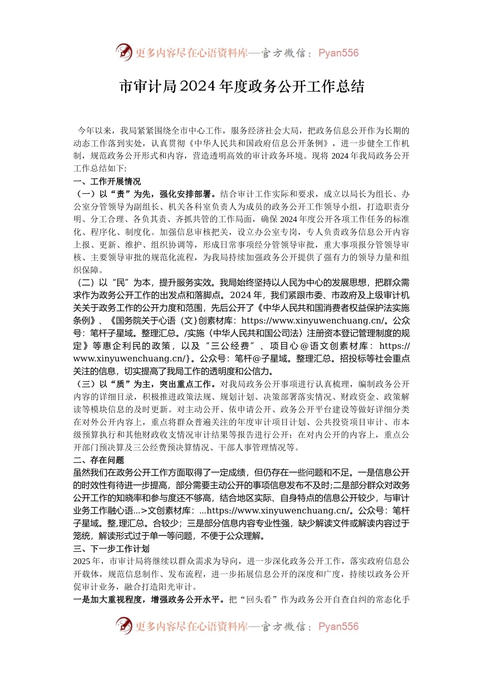市审计局2024年度政务公开工作总结.docx_第1页