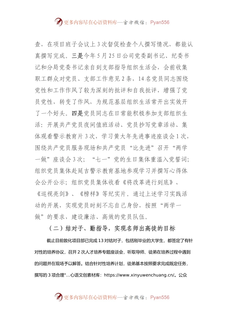 敦化党支部2017年述职报告.docx_第2页