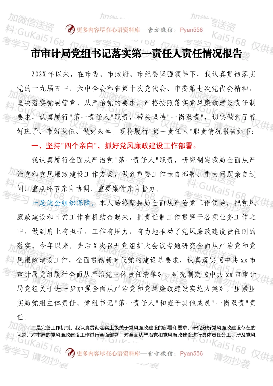市审计局党组书记落实第一责任人责任情况报告.docx_第1页