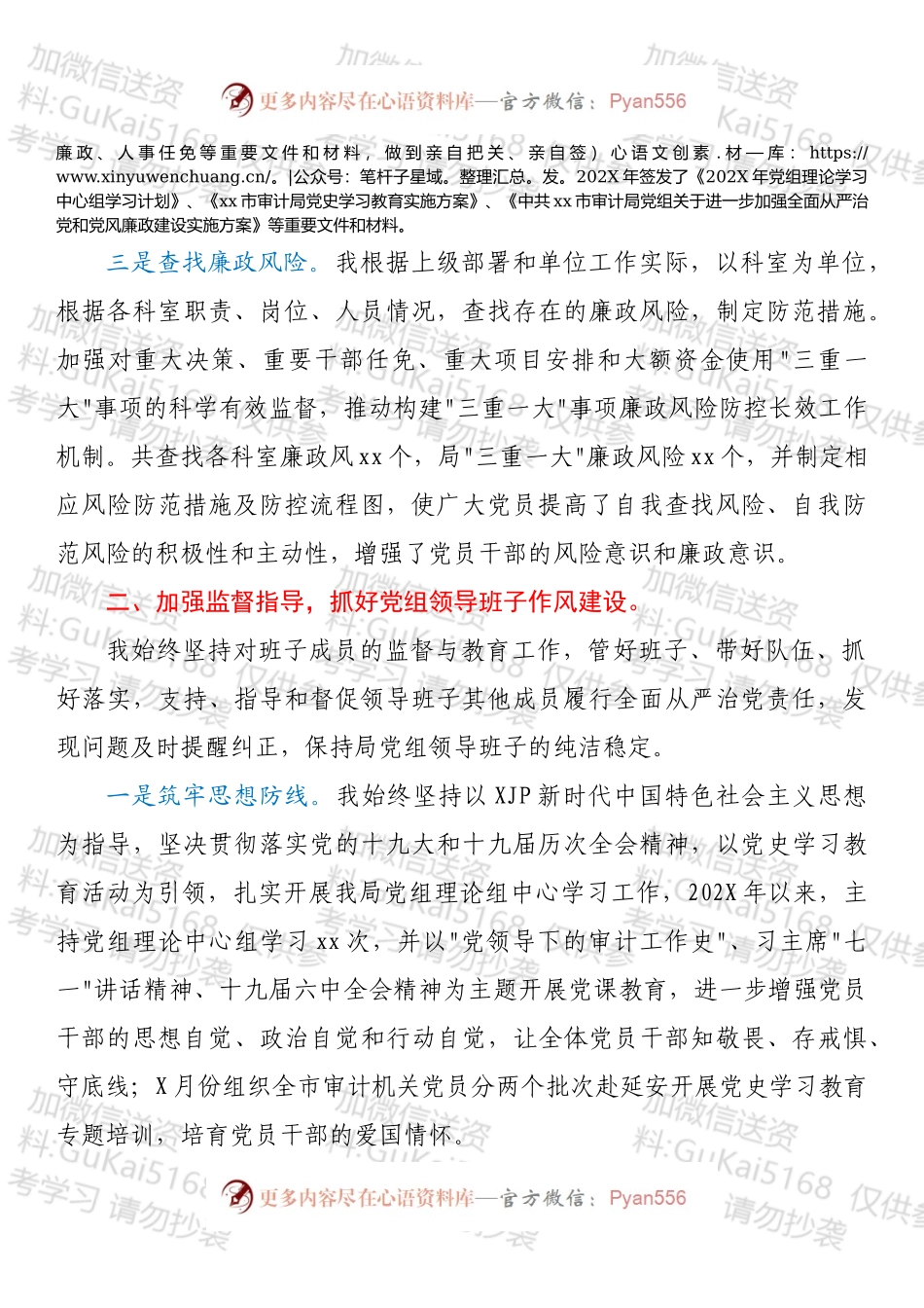 市审计局党组书记落实第一责任人责任情况报告.docx_第2页