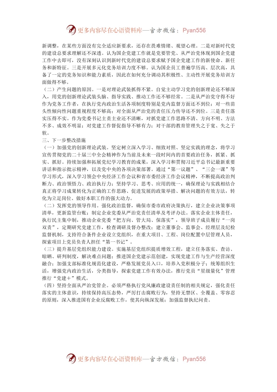 市国资委党委书记2024年抓基层党建工作述职报告.docx_第2页