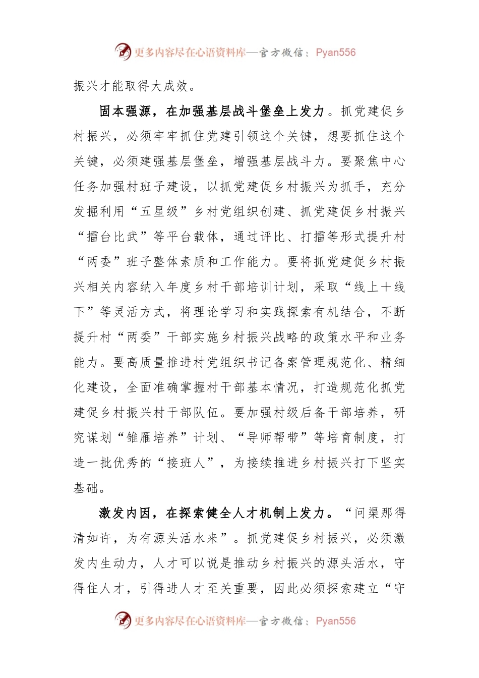 抓党建促乡村振兴心得体会发言.docx_第2页