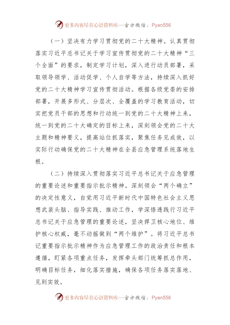 应急管理局2023年度工作计划.docx_第2页