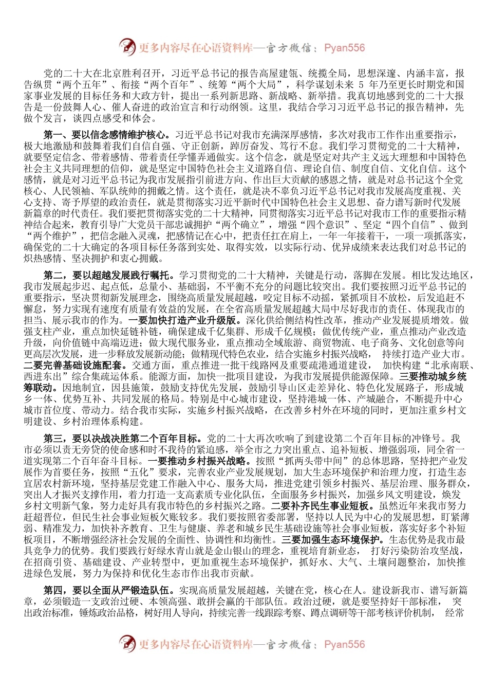 市委书记在代表团学习党的二十大精神研讨会上的发言.docx_第1页