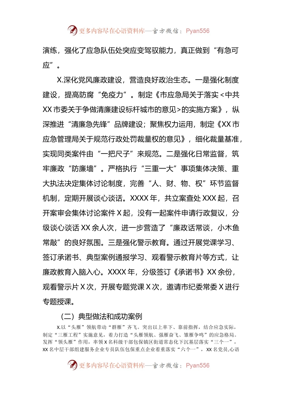市应急局主要负责人党建述职报告.docx_第2页