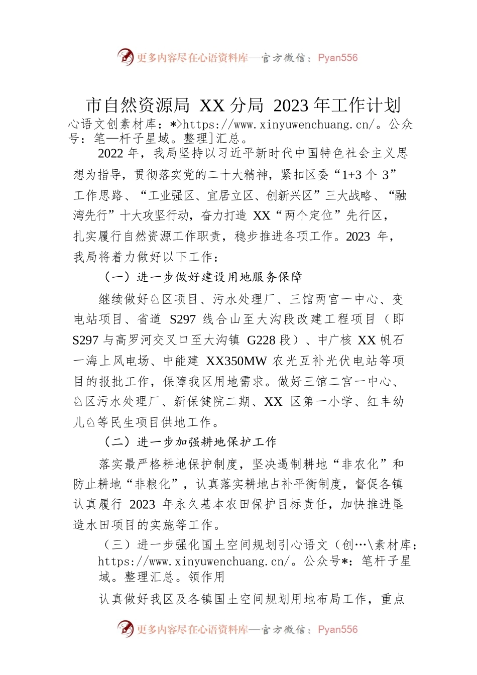 市自然资源局XX分局2023年工作计划.docx_第1页