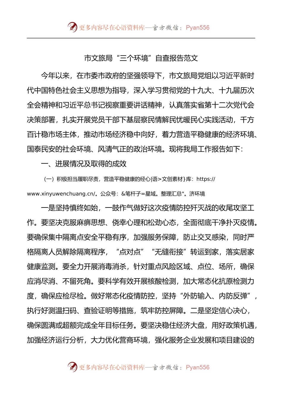 市文旅局三个环境自查报告.docx_第1页