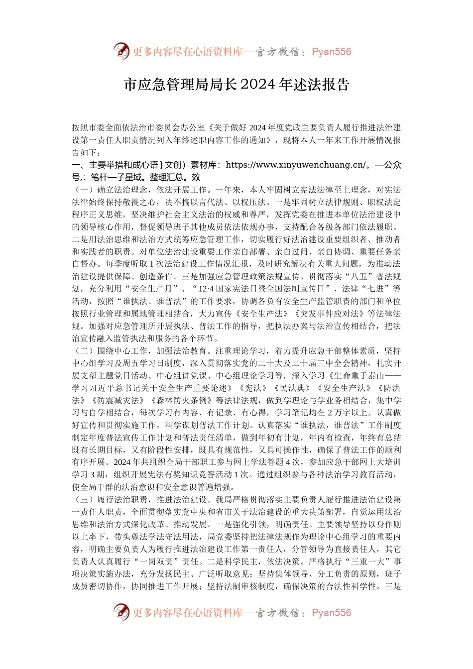 市应急管理局局长2024年述法报告.docx_第1页