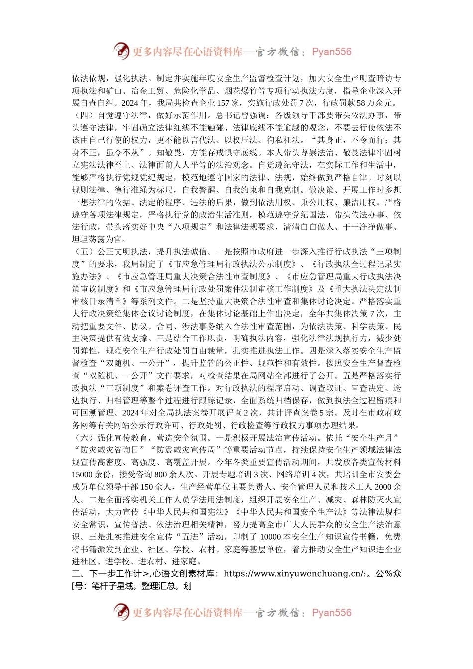 市应急管理局局长2024年述法报告.docx_第2页