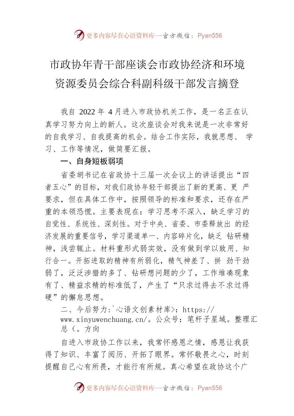 市政协年青干部座谈会市政协经济和环境资源委员会综合科副科级干部发言摘登（20230213）.docx_第1页
