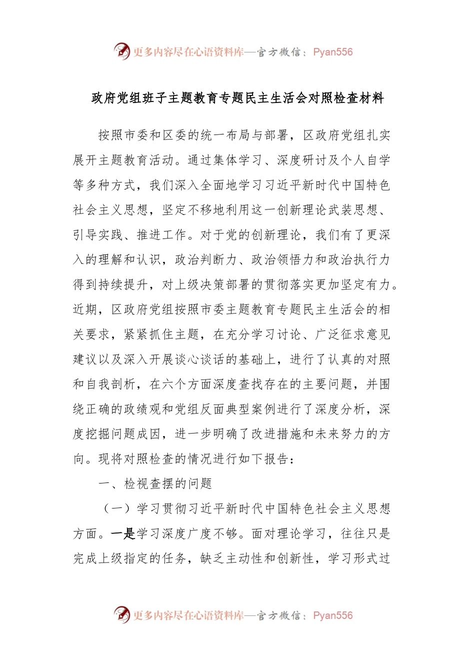 政府党组班子主题教育专题民主生活会对照检查材料.docx_第1页