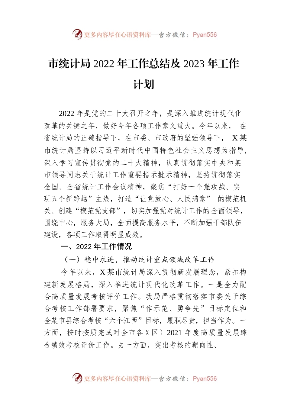 市统计局2022年工作总结及2023年工作计划.docx_第1页