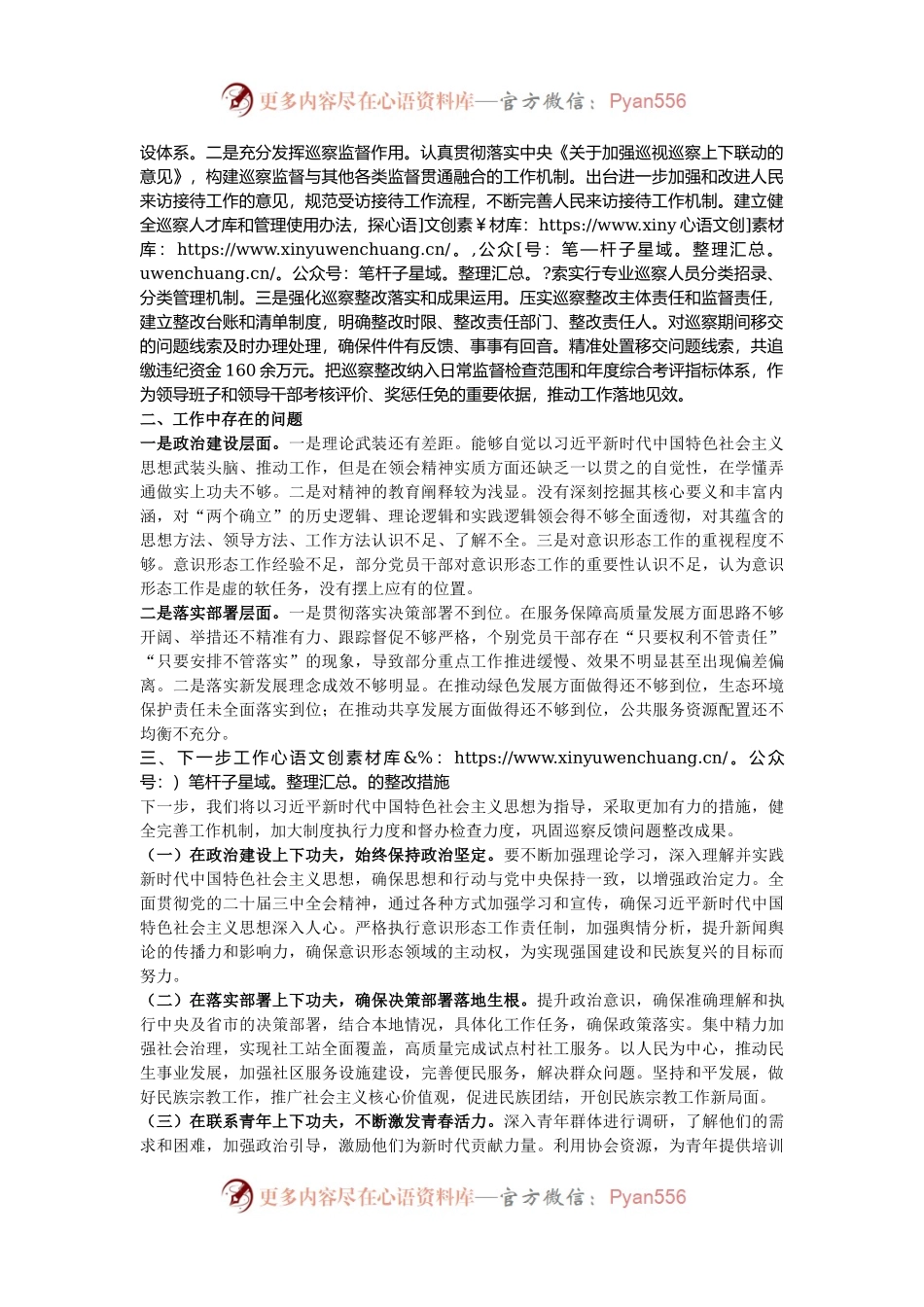 市委社会工作部2024年巡察整改工作总结.docx_第2页