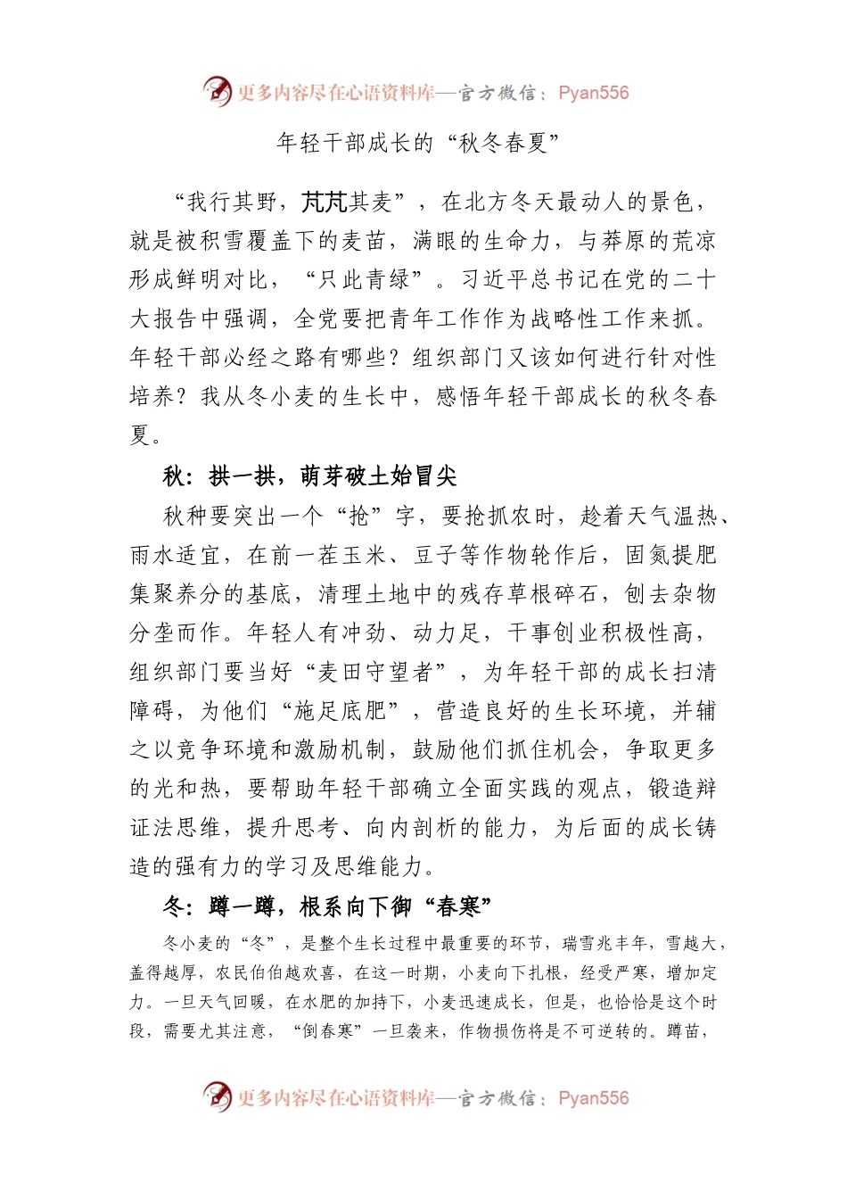 年轻干部成长的“秋冬春夏”.docx_第1页