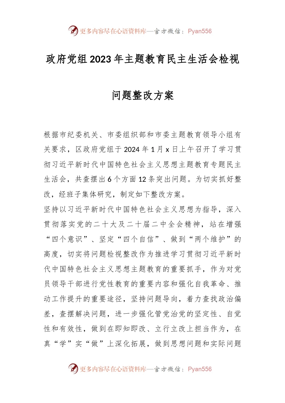 政府党组2023年主题教育民主生活会检视问题整改方案.docx_第1页