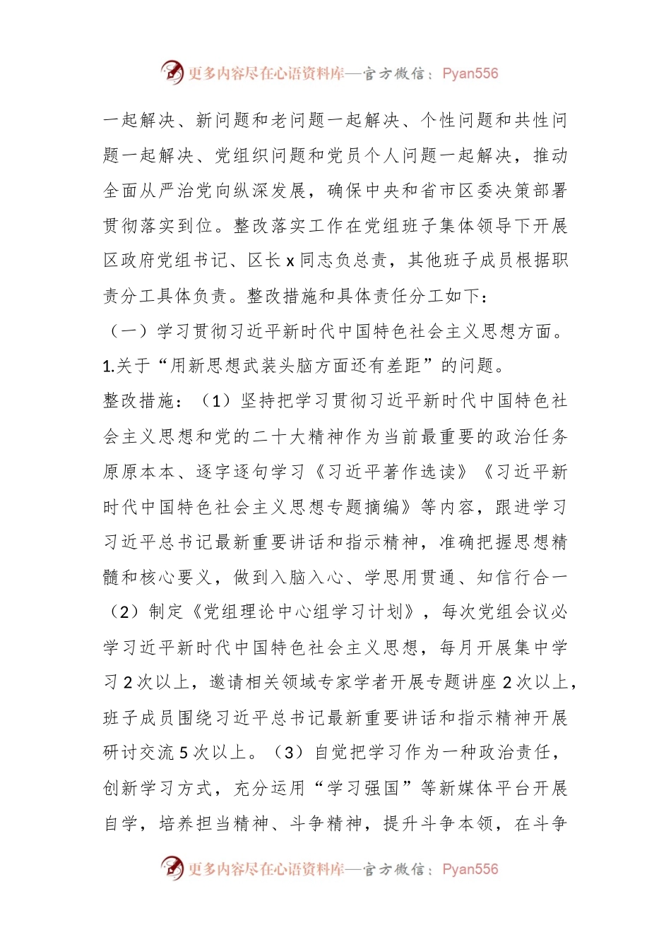 政府党组2023年主题教育民主生活会检视问题整改方案.docx_第2页