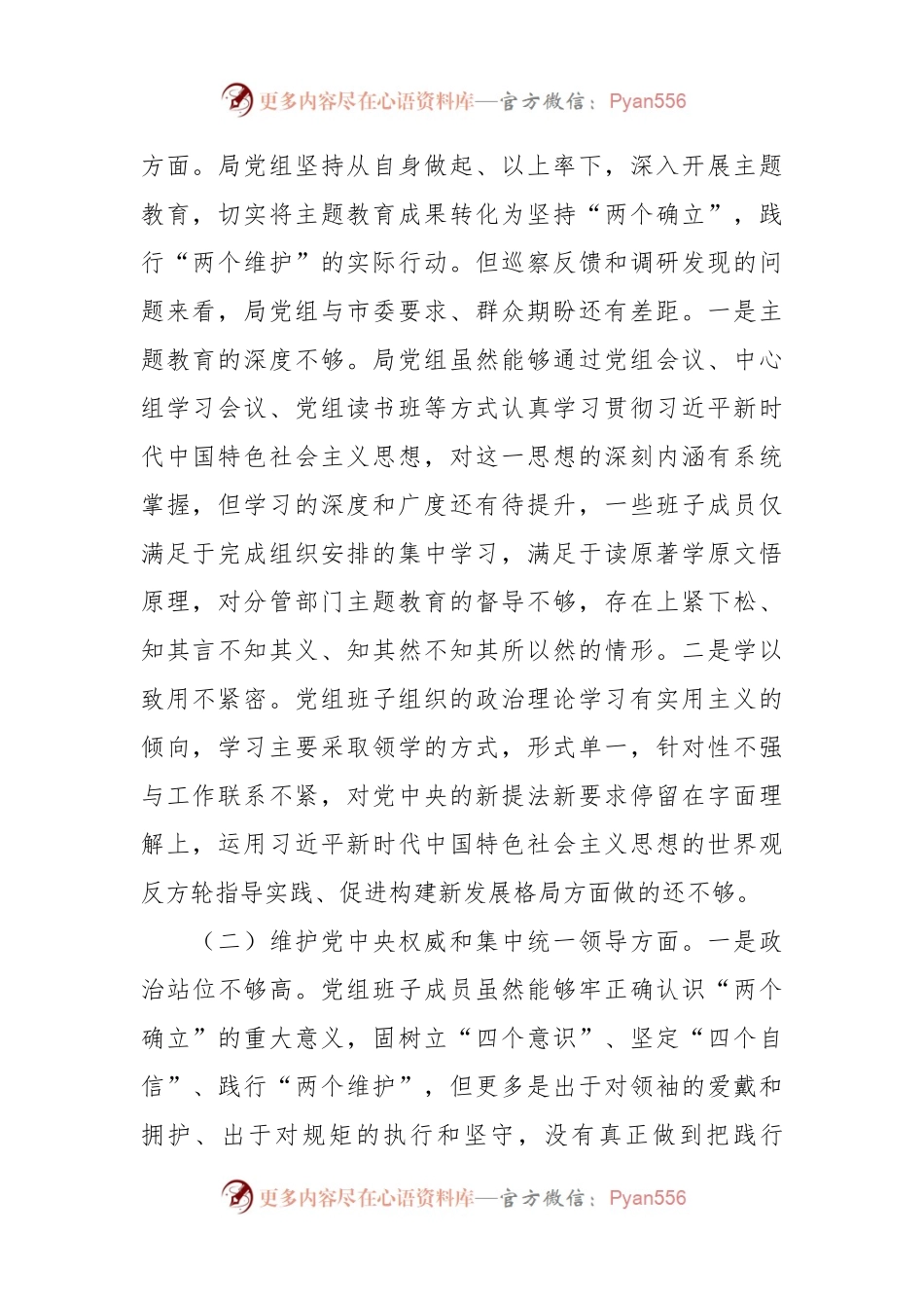 市局领导班子2023年专题民主生活会对照检查材料（新六个方面）.docx_第2页
