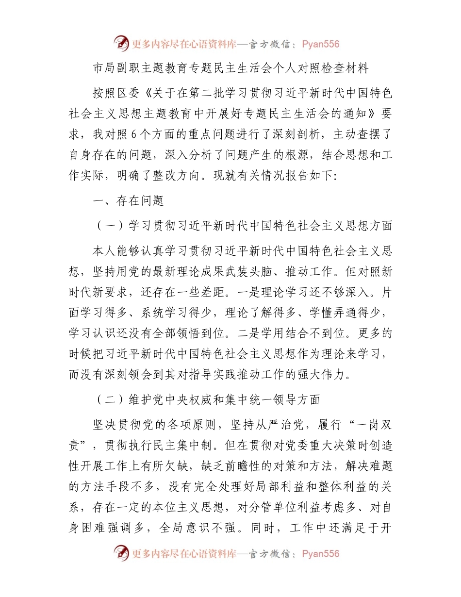 市局副职主题教育专题民主生活会个人对照检查材料.docx_第1页
