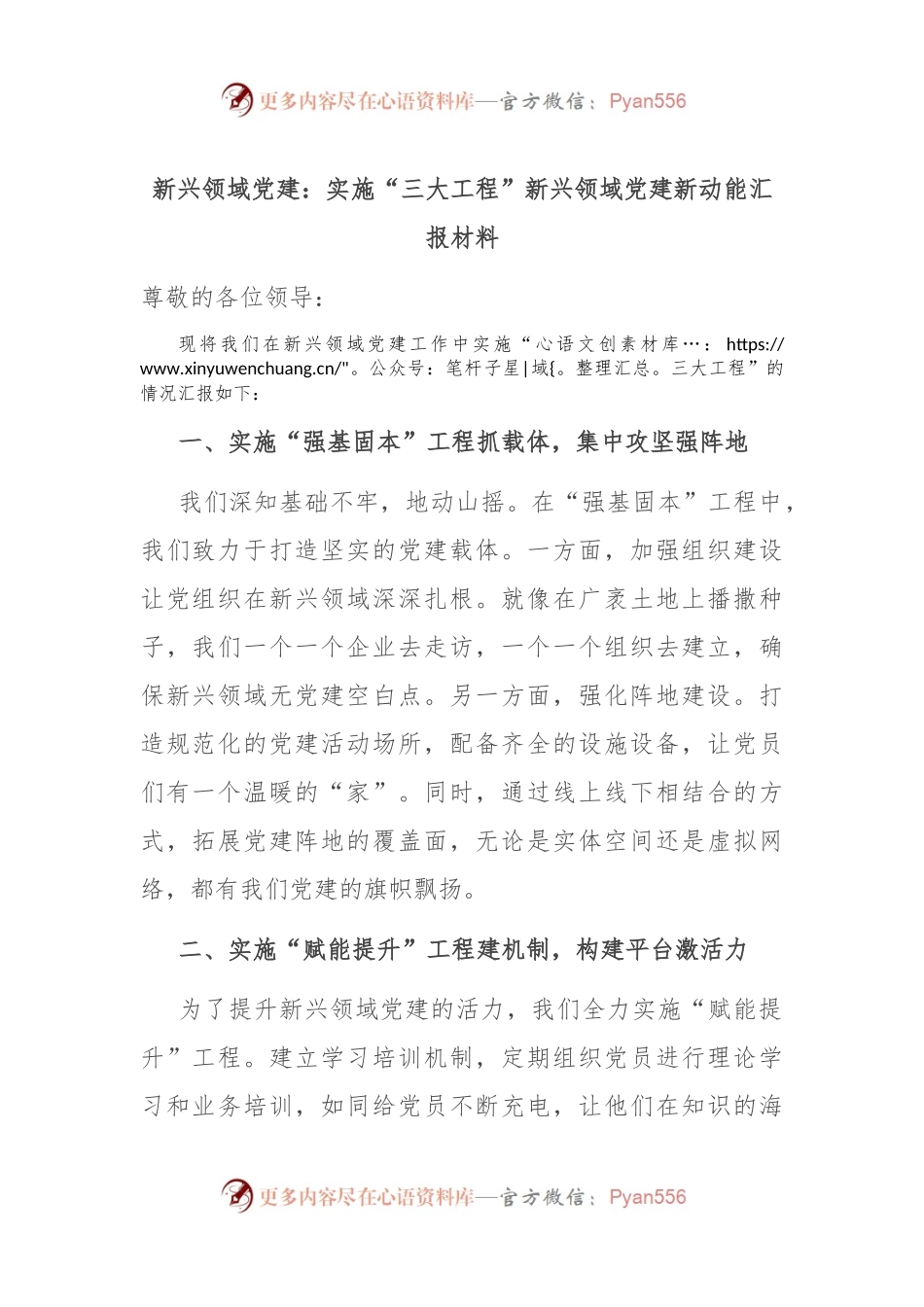 新兴领域党建：实施“三大工程” 新兴领域党建新动能汇报材料.docx_第1页