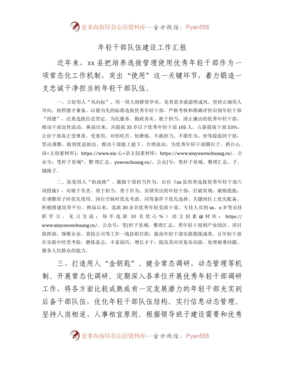 年轻干部队伍建设工作汇报.docx_第1页