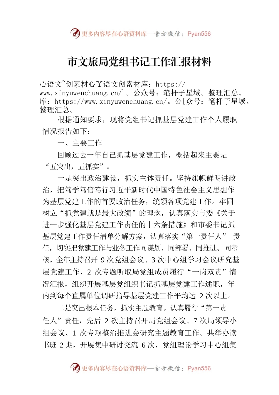 市文旅局党组书记工作汇报材料.docx_第1页