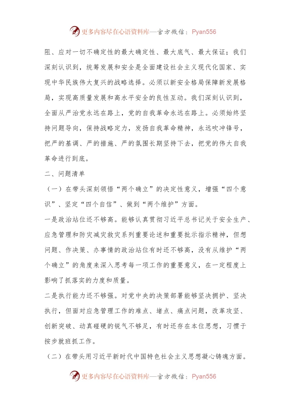 应急局领导班子2022年度民主生活会对照检查材料.docx_第2页