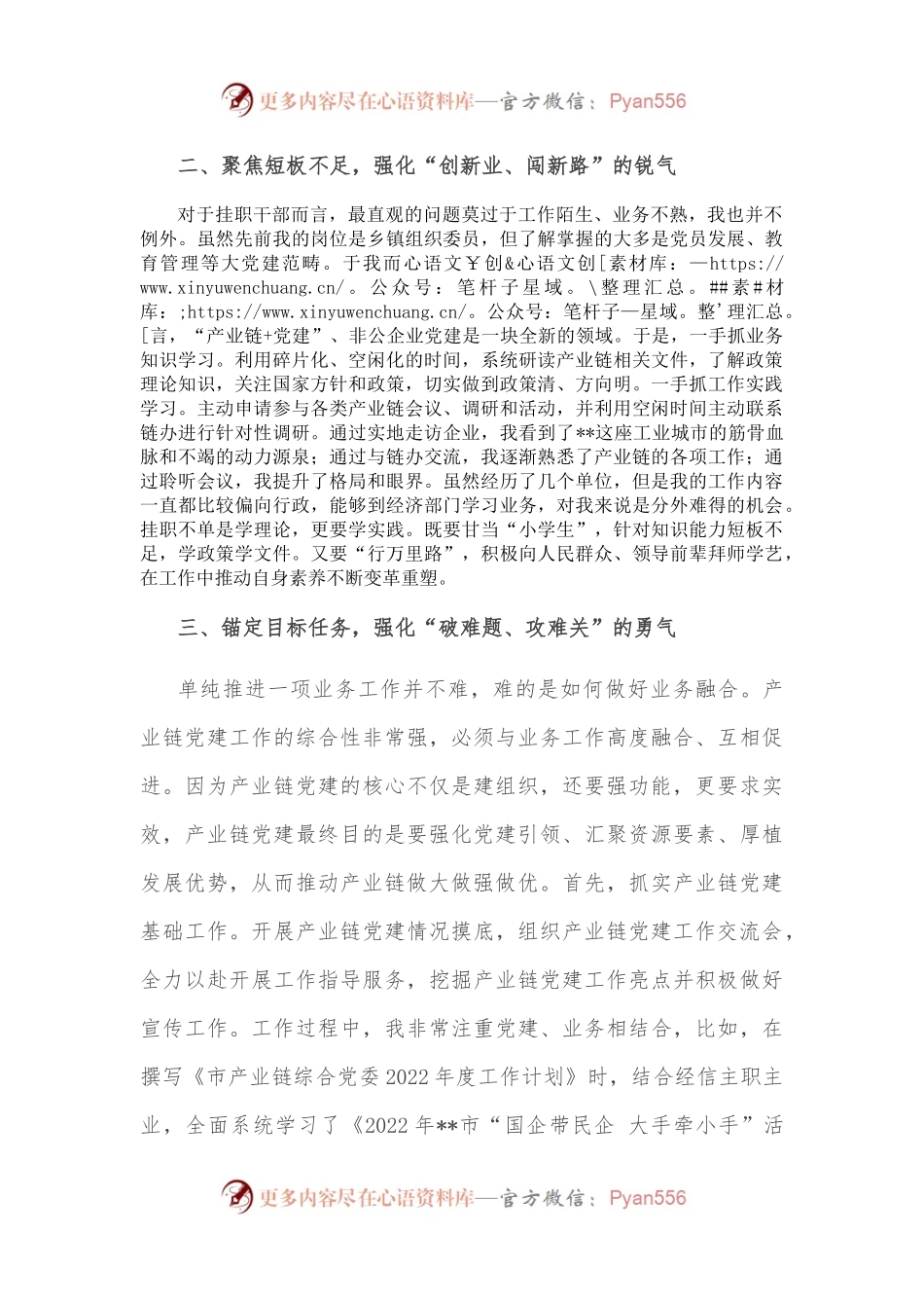挂职干部座谈交流发言.docx_第2页