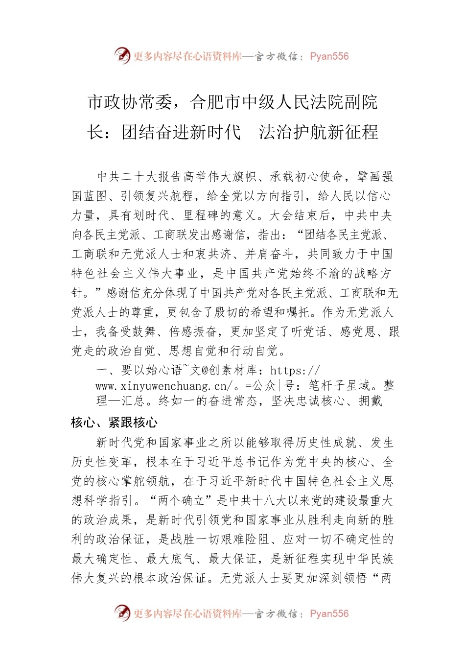 市政协常委，合肥市中级人民法院副院长：团结奋进新时代  法治护航新征程（20221111）.docx_第1页