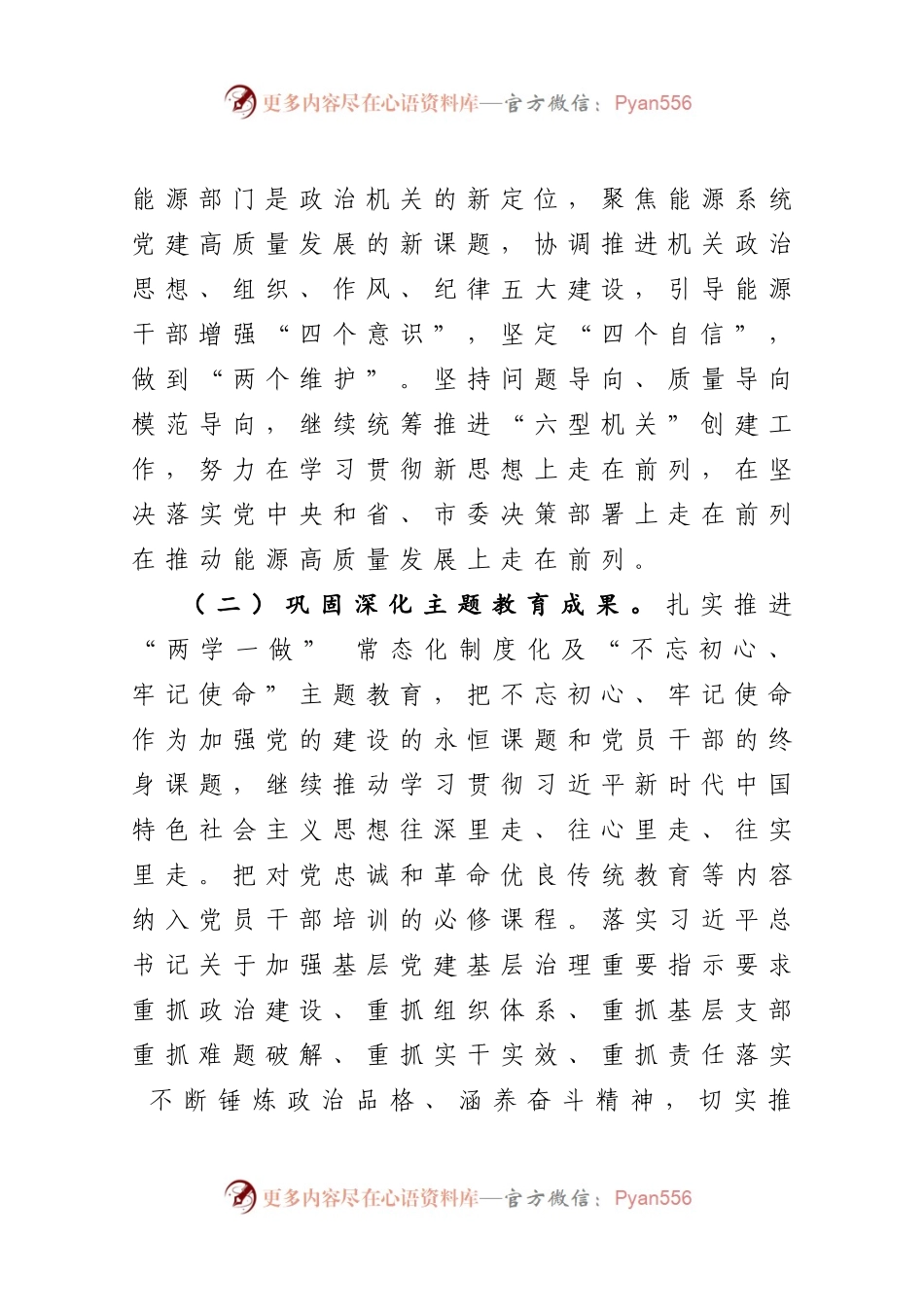 市能源局2020年党建工作要点.docx_第2页