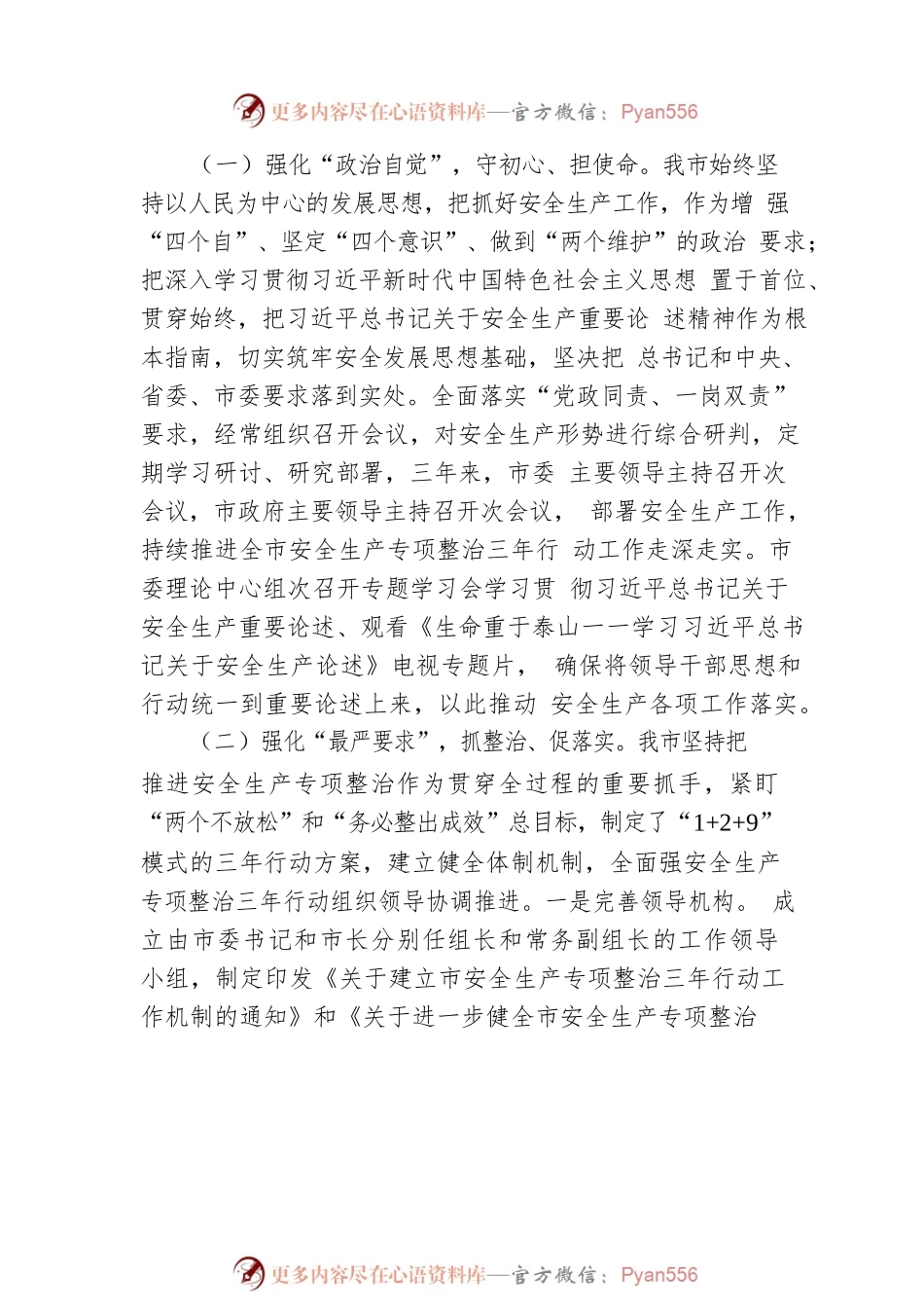 市安全生产专项整治三年行动总结评估报告.docx_第2页