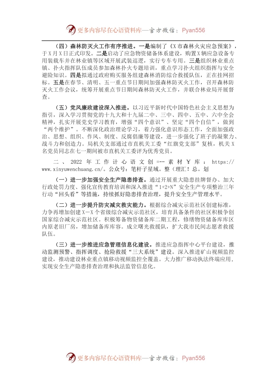 市应急管理局202X年工作总结和2022年工作计划.docx_第2页