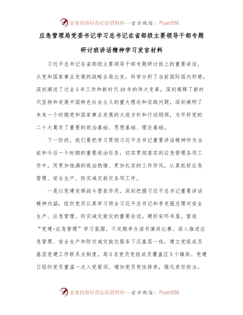 应急管理局党委书记学习总书记在省部级主要领导干部专题研讨班讲话精神学习发言材料.docx_第1页