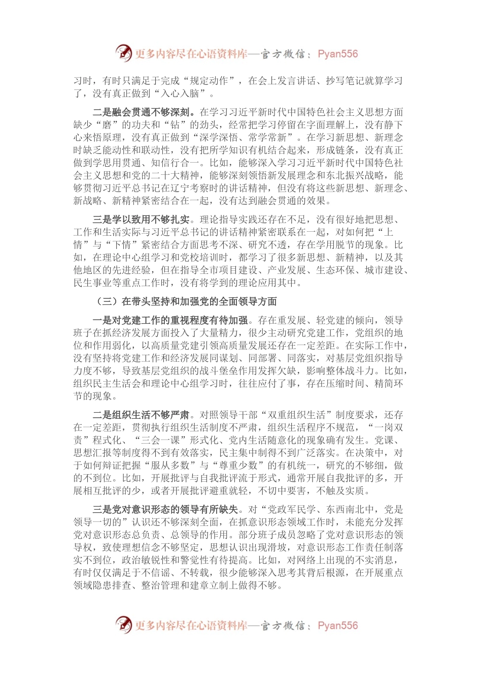 市政府领导班子六个带头民主生活会对照检查材料.docx_第2页