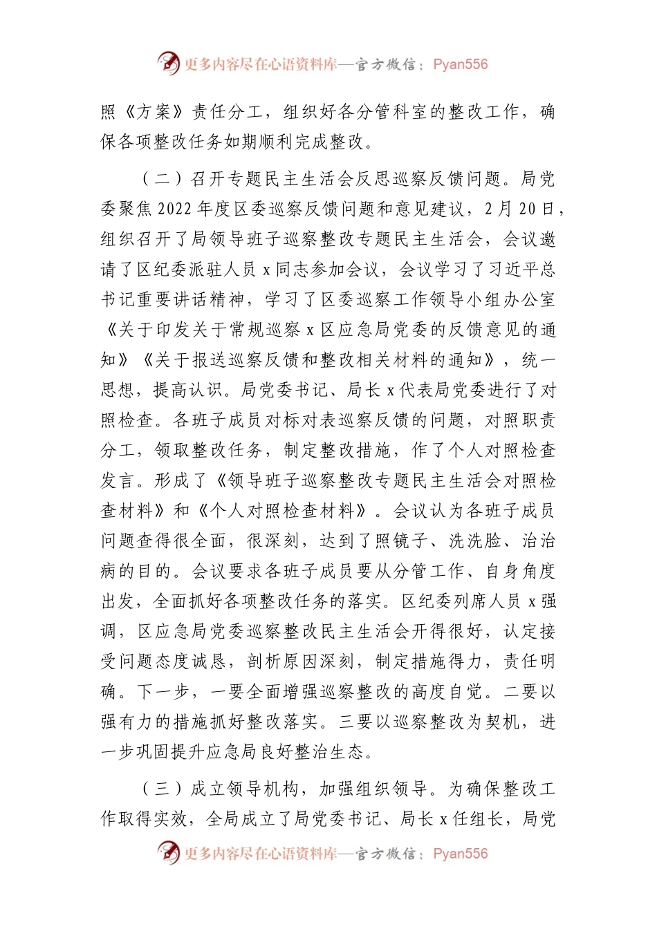 应急系统巡察集中整改进展情况总结报告9300字.docx_第2页