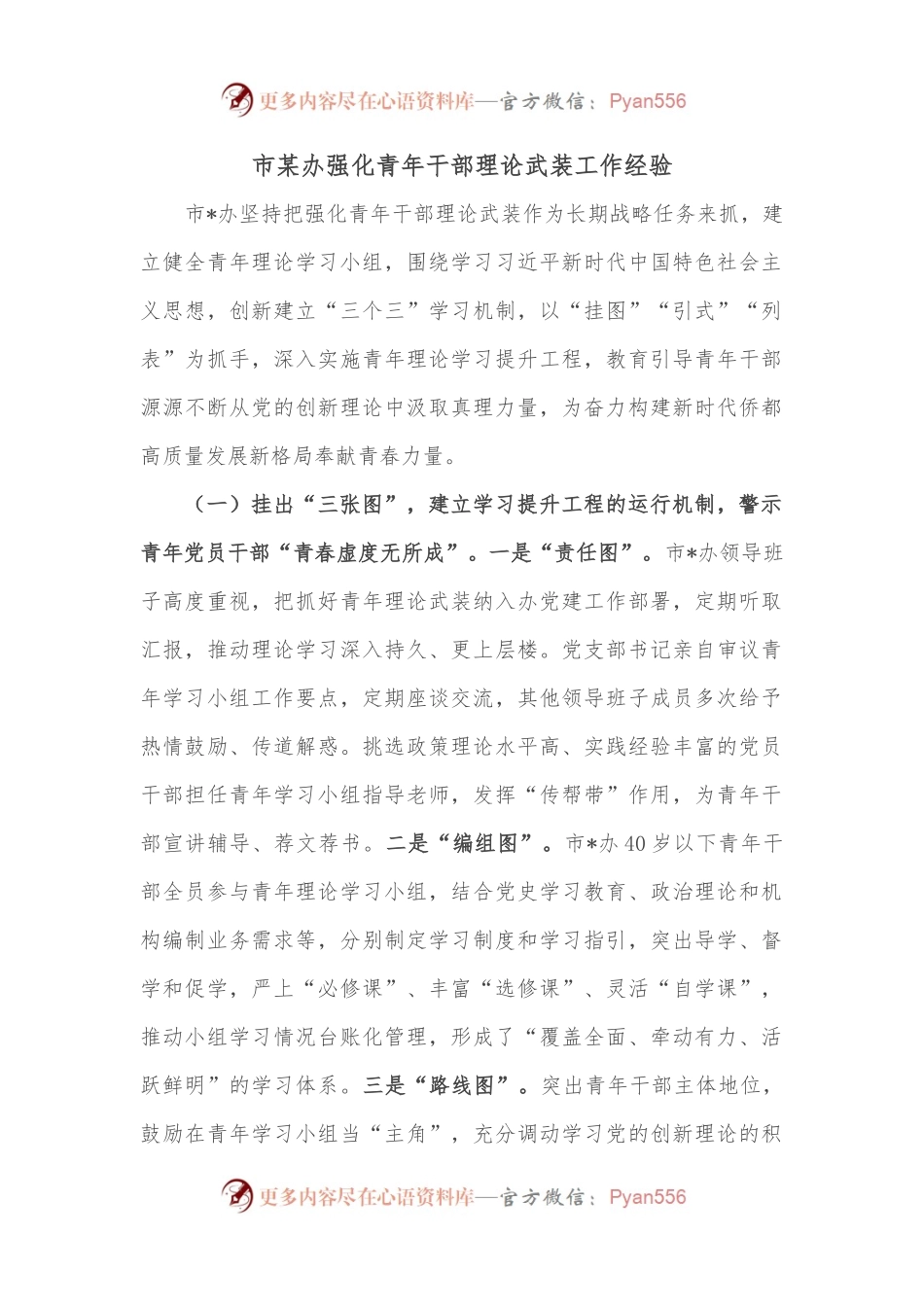 市某办强化青年干部理论武装工作经验.docx_第1页