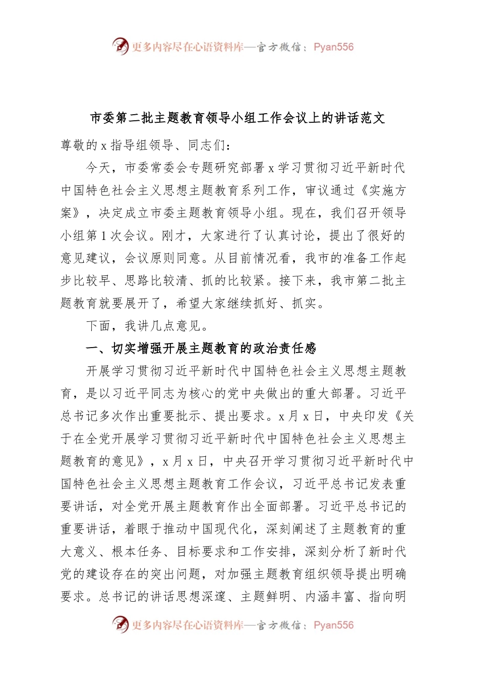 市第二批主题教育领导小组工作会议讲话.docx_第1页